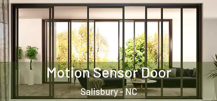 Motion Sensor Door Salisbury - NC